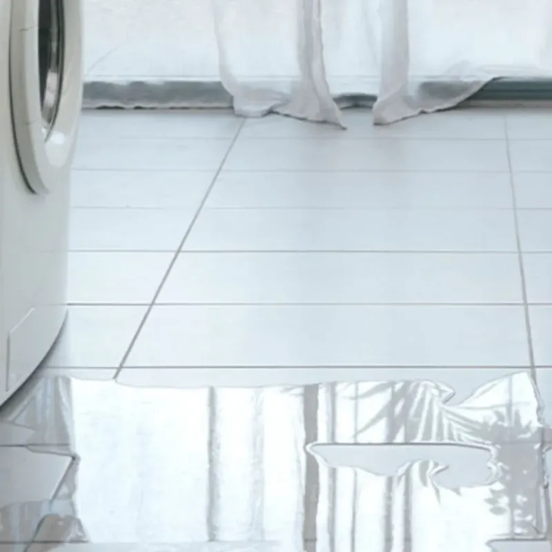 Appliance Leak Cleanup in Steele County, ND