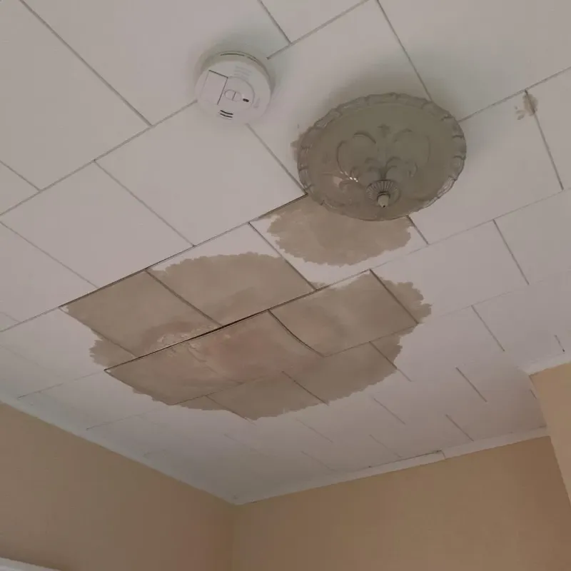 Ceiling Water Damage Repair in Steele County, ND