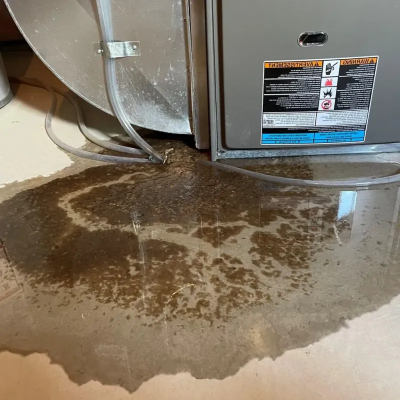 Pipe Burst and Leak Restoration in Steele County, ND