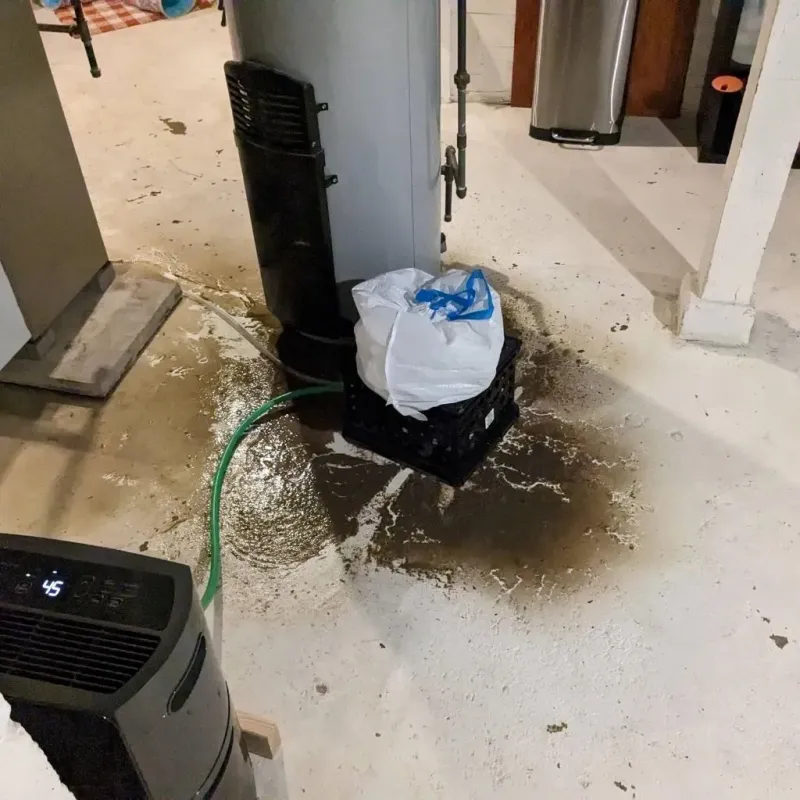 Sewage Backup Cleanup Service in Steele County, ND